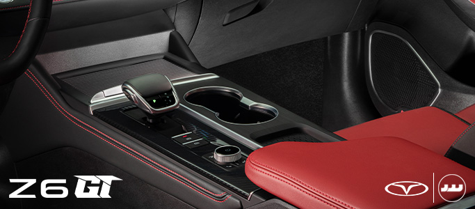 Arrizo6 Gt آپشن ها