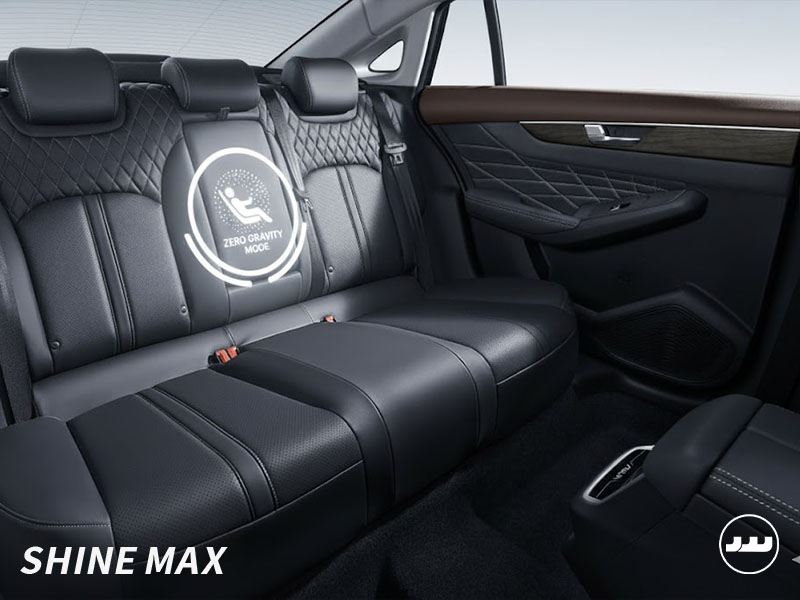 آپشن های شاین مکس